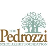 Click to visit Pedrozzi's site.